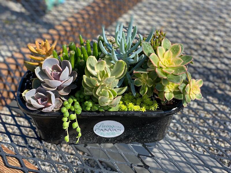 Garden Themed Gifts