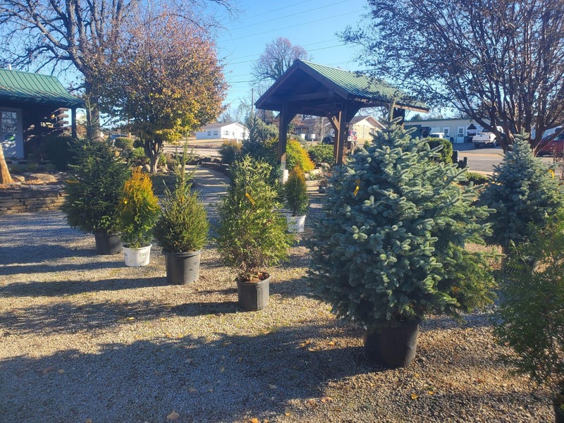 Trees, Shrubs, Perennials