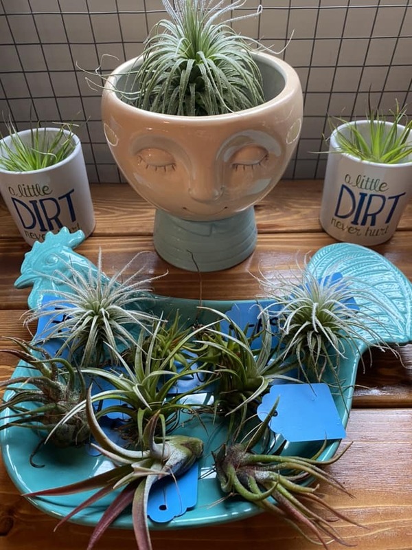 Home Decor