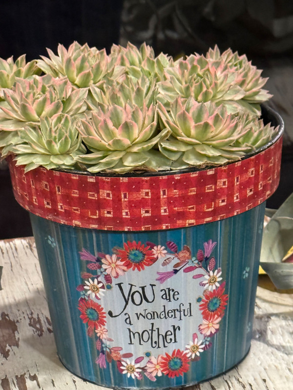 Garden Themed Gifts