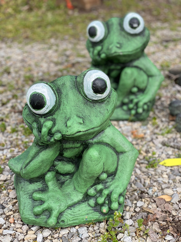 Garden Themed Gifts