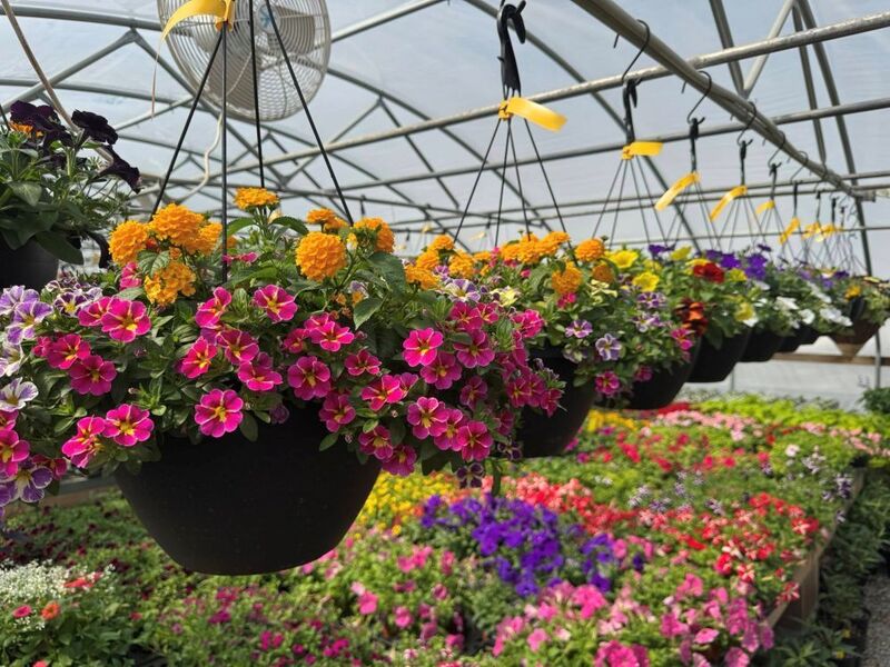 Mixed Baskets & Pots