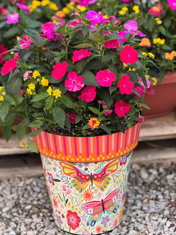Mixed Baskets & Pots