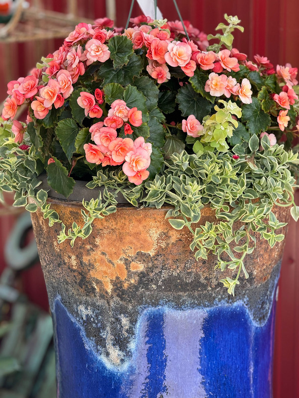 Mixed Baskets & Pots
