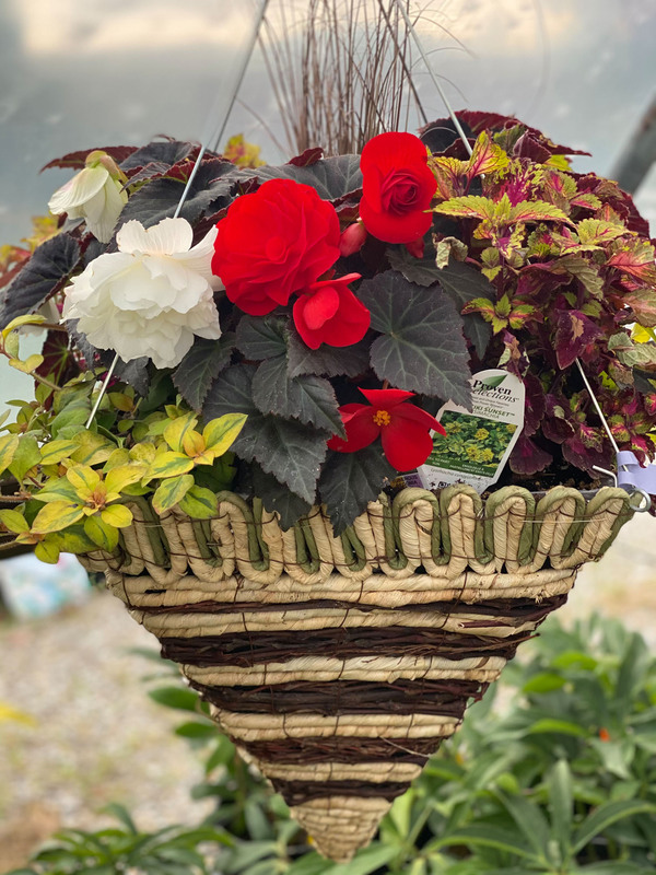 Mixed Baskets & Pots
