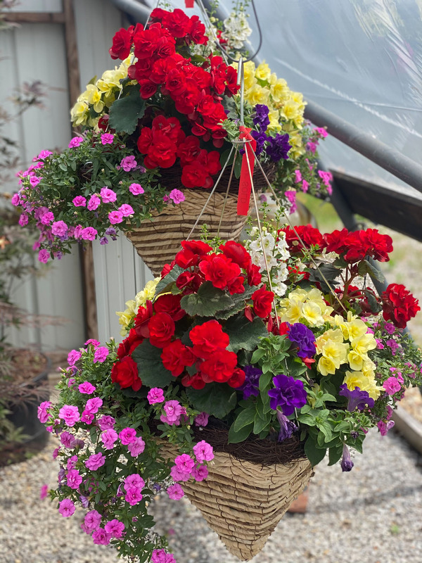 Mixed Baskets & Pots