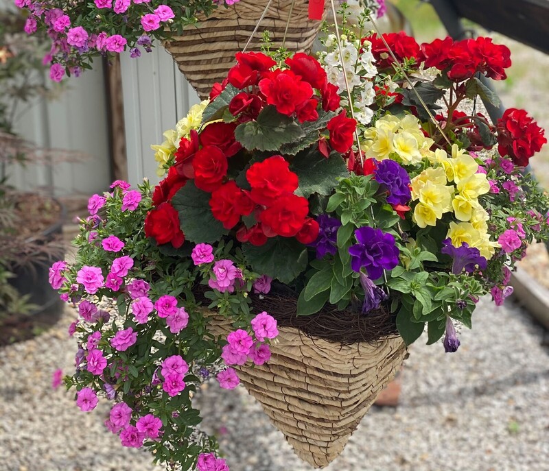 Mixed Baskets & Pots
